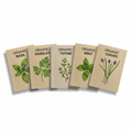 Organic Herb Seed Collection (12 Varieties)