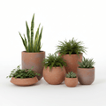 Large Terracotta Planter Set (3-Pack)